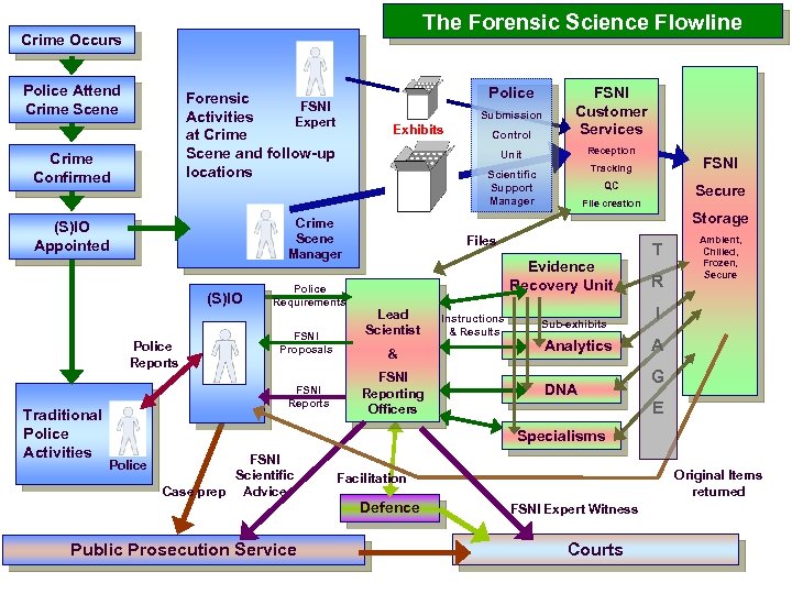 The Forensic Science Flowline Crime Occurs Police Attend Crime Scene Crime Confirmed (S)IO Police