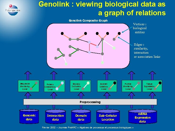 Genolink : viewing biological data as a graph of relations Genolink Composite Graph Vertices