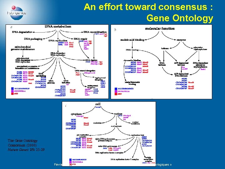 An effort toward consensus : Gene Ontology The Gene Ontology Consortium (2000) Nature Genet.