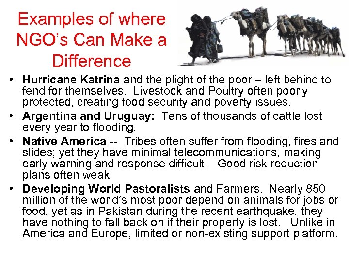 Examples of where NGO’s Can Make a Difference • Hurricane Katrina and the plight