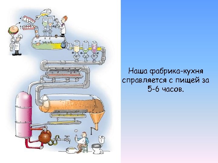 Наша фабрика-кухня справляется с пищей за 5 -6 часов. 