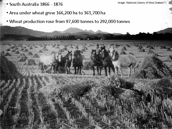  • South Australia 1866 - 1876 Image: National Library of New Zealand •