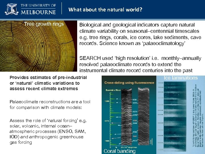 What about the natural world? Tree growth rings Biological and geological indicators capture natural