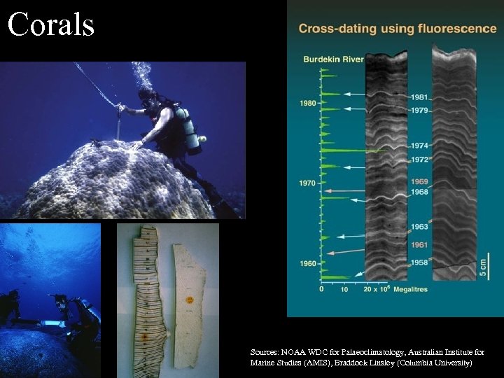 Corals Sources: NOAA WDC for Palaeoclimatology, Australian Institute for Marine Studies (AMIS), Braddock Linsley