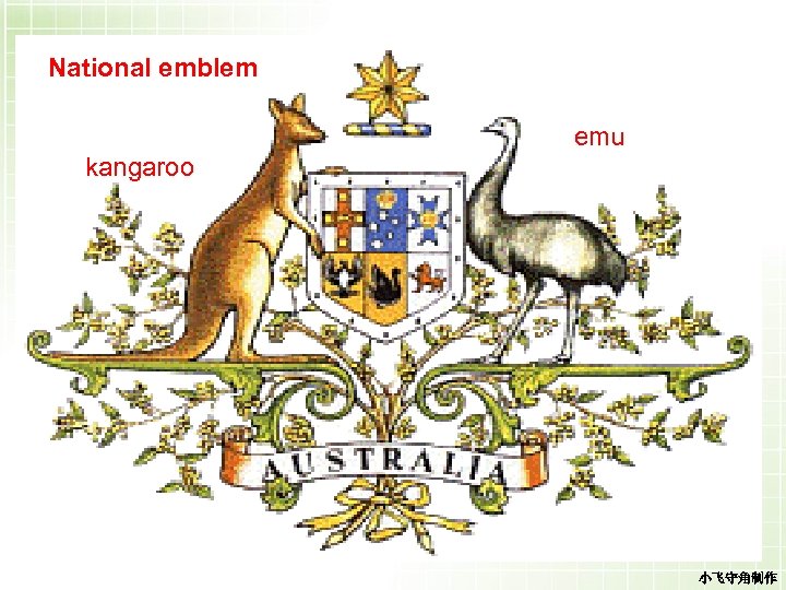 National emblem Kangaroo, emu(鸸鹋) emu kangaroo 小飞守角制作 