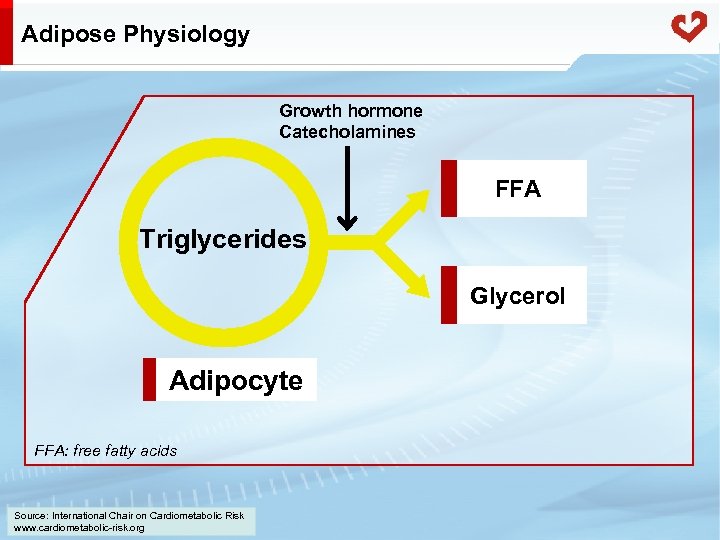 Adipose Physiology Growth hormone Catecholamines FFA Triglycerides Glycerol Adipocyte FFA: free fatty acids Source: