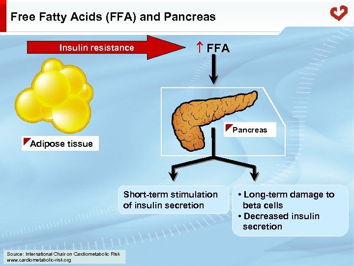 Free Fatty Acids (FFA) and Pancreas Insulin resistance FFA Pancreas Adipose tissue Short-term stimulation