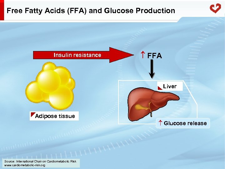 Free Fatty Acids (FFA) and Glucose Production Insulin resistance FFA Liver Adipose tissue Glucose