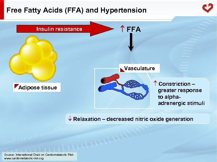 Free Fatty Acids (FFA) and Hypertension Insulin resistance FFA Vasculature Constriction – greater response