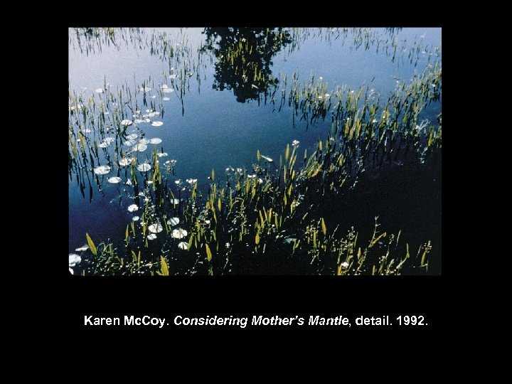 Karen Mc. Coy. Considering Mother’s Mantle, detail. 1992. 