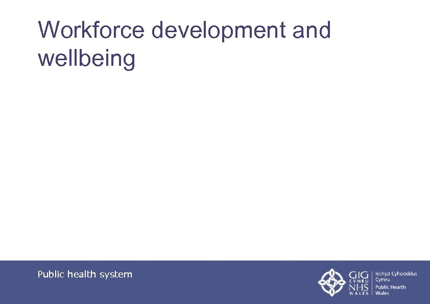 Workforce development and wellbeing Public health system 