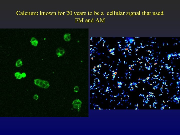 Calcium: known for 20 years to be a cellular signal that used FM and