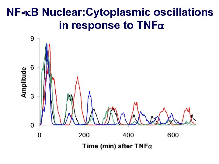 NF-k. B Nuclear: Cytoplasmic oscillations in response to TNFa 0 