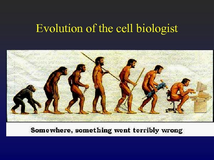 Evolution of the cell biologist 