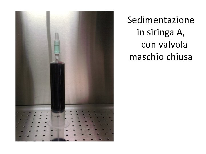 Sedimentazione in siringa A, con valvola maschio chiusa 