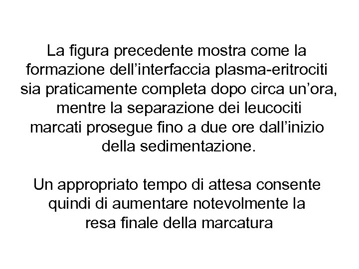La figura precedente mostra come la formazione dell’interfaccia plasma-eritrociti sia praticamente completa dopo circa