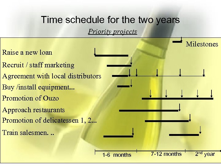 Time schedule for the two years Priority projects Milestones Raise a new loan Recruit