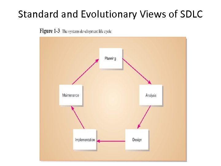 Standard and Evolutionary Views of SDLC 