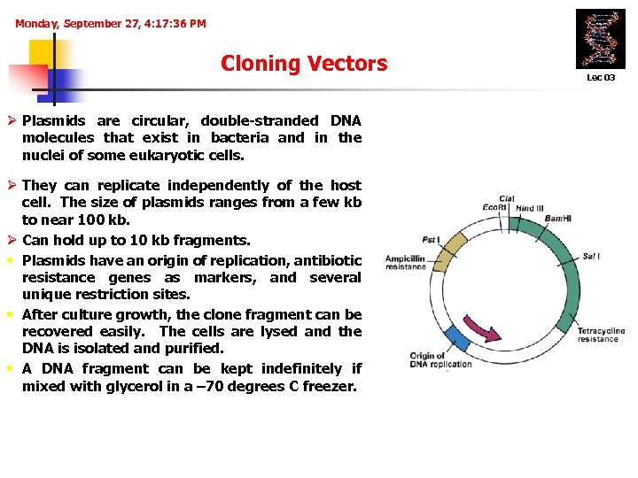 Monday, September 27, 4: 17: 36 PM Cloning Vectors Ø Plasmids are circular, double-stranded