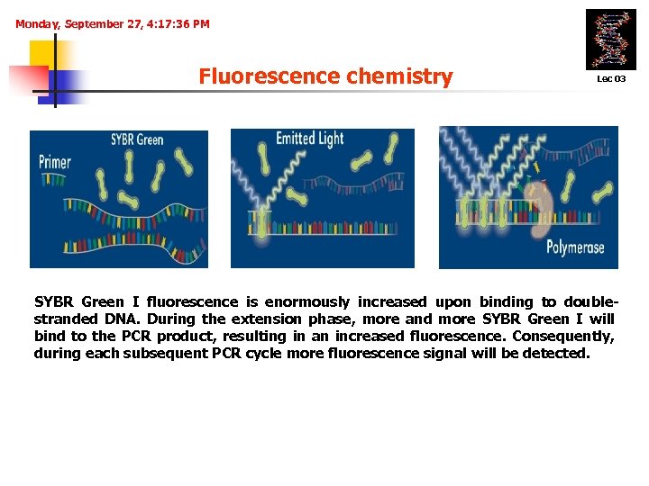 Monday, September 27, 4: 17: 36 PM Fluorescence chemistry Lec 03 1. DNA-binding agents