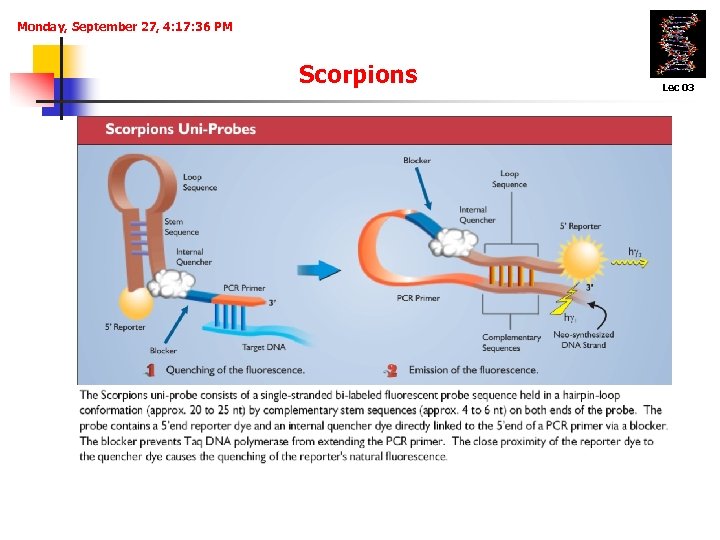 Monday, September 27, 4: 17: 36 PM Scorpions Lec 03 