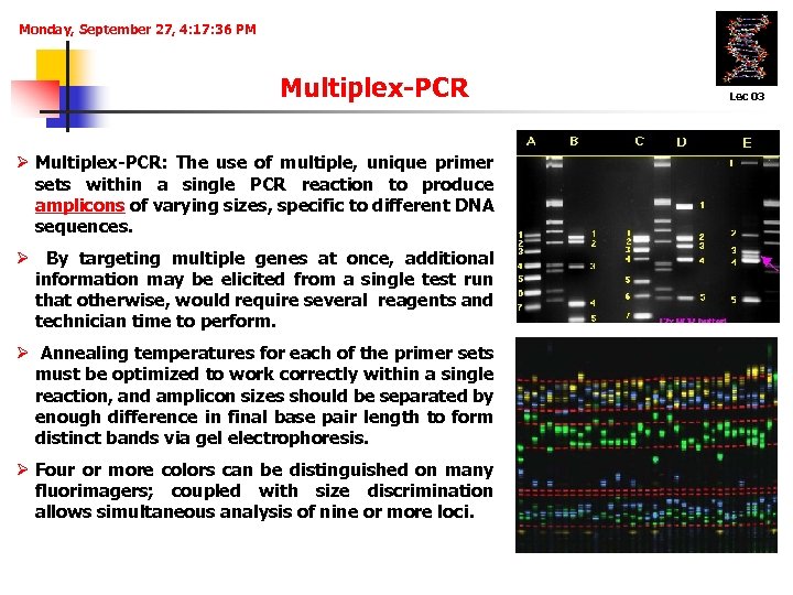 Monday, September 27, 4: 17: 36 PM Multiplex-PCR Ø Multiplex-PCR: The use of multiple,