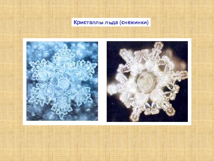 Кристаллы льда (снежинки) 