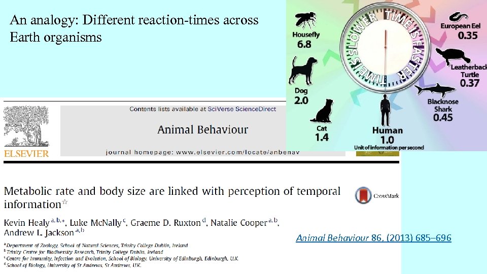 An analogy: Different reaction-times across Earth organisms Animal Behaviour 86, (2013) 685– 696 