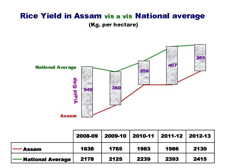 Rice Yield in Assam vis a vis National average (Kg. per hectare) 285 Yield