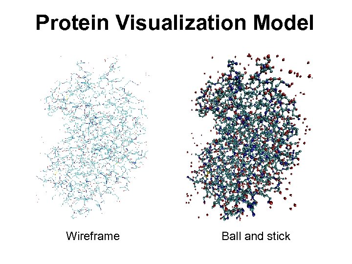 Protein Visualization Model Wireframe Ball and stick 