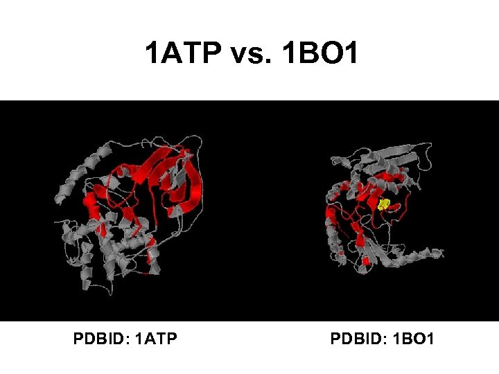 1 ATP vs. 1 BO 1 PDBID: 1 ATP PDBID: 1 BO 1 