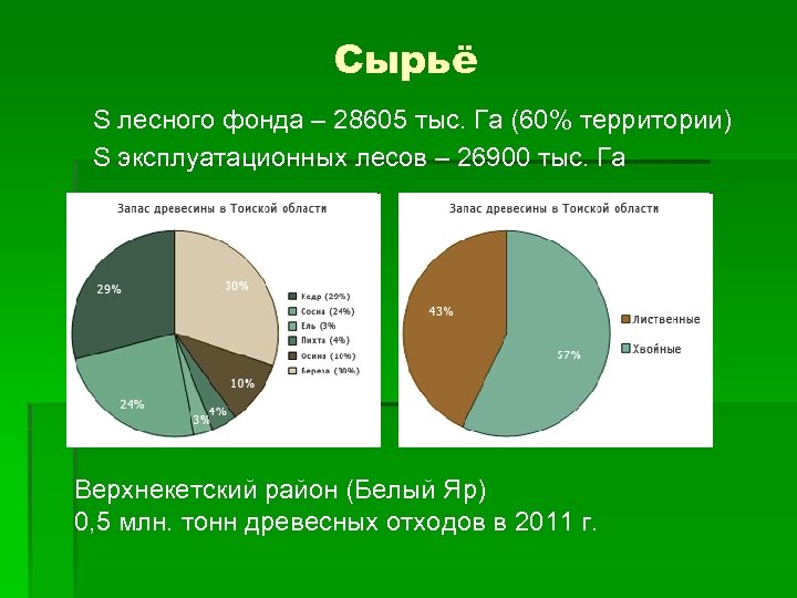 Сырьё S лесного фонда – 28605 тыс. Га (60% территории) S эксплуатационных лесов –