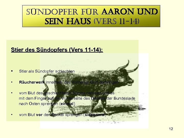 sündopfer für aaron und sein haus (vers 11 -14) Stier des Sündopfers (Vers 11
