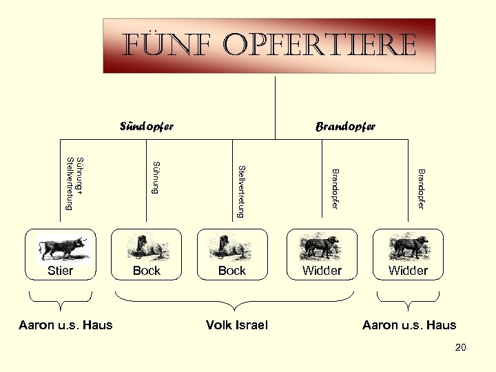 fünf opfertiere Sündopfer Stellvertretung Brandopfer Aaron u. s. Haus Sühnung+ Stellvertretung Stier Brandopfer Bock