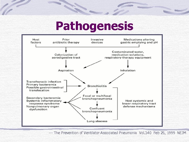 Pathogenesis --- The Prevention of Ventilator-Associated Pneumonia Vol. 340 Feb 25, 1999 NEJM 