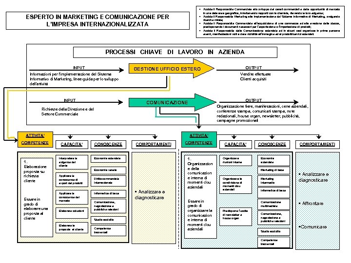  • Assiste il Responsabile Commerciale allo sviluppo dei canali commerciali e delle opportunità