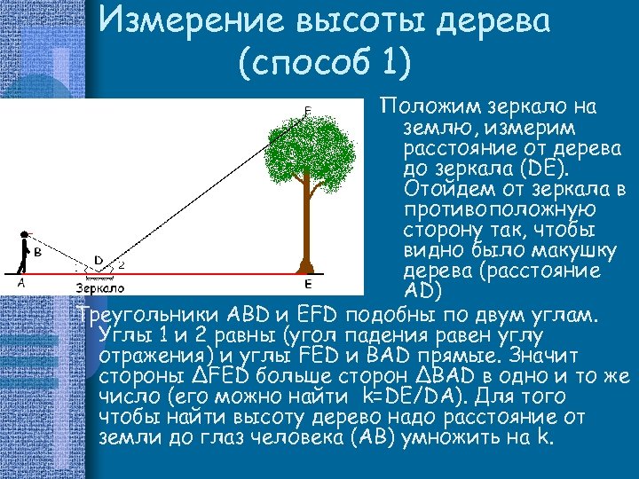 Измерение высоты дерева (способ 1) Положим зеркало на землю, измерим расстояние от дерева до