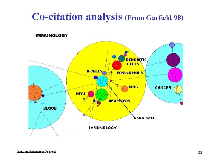 Co-citation analysis (From Garfield 98) Intelligent Information Retrieval 22 