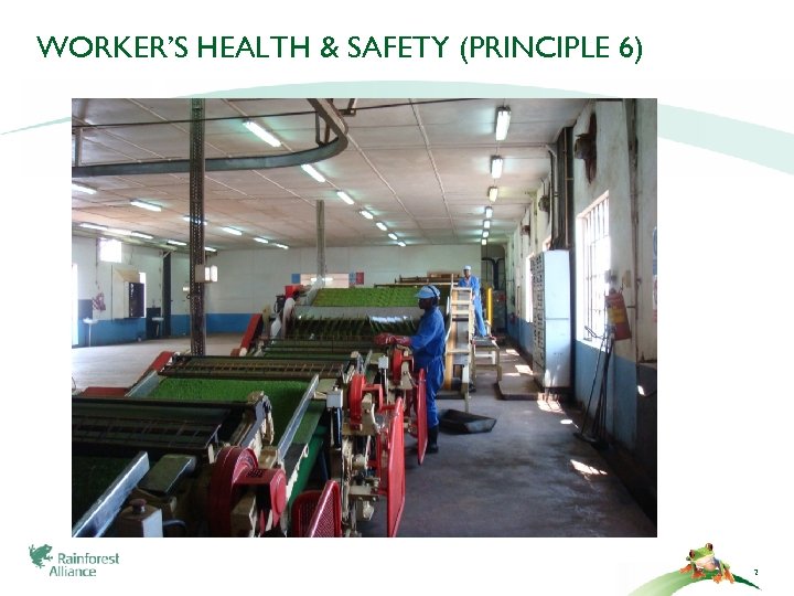 WORKER’S HEALTH & SAFETY (PRINCIPLE 6) 2 