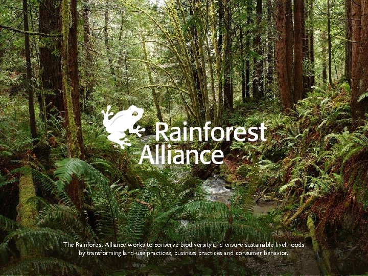 The Rainforest Alliance works to conserve biodiversity and ensure sustainable livelihoods by transforming land-use