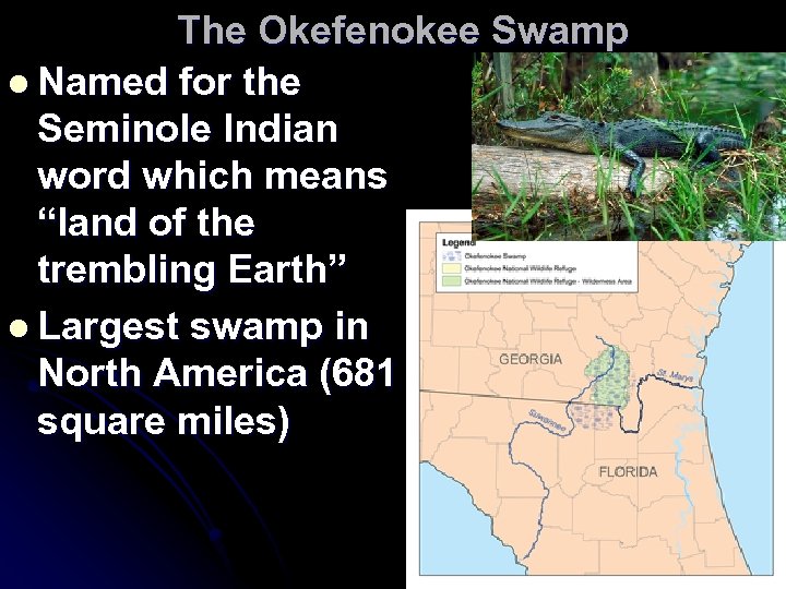 The Okefenokee Swamp l Named for the Seminole Indian word which means “land of