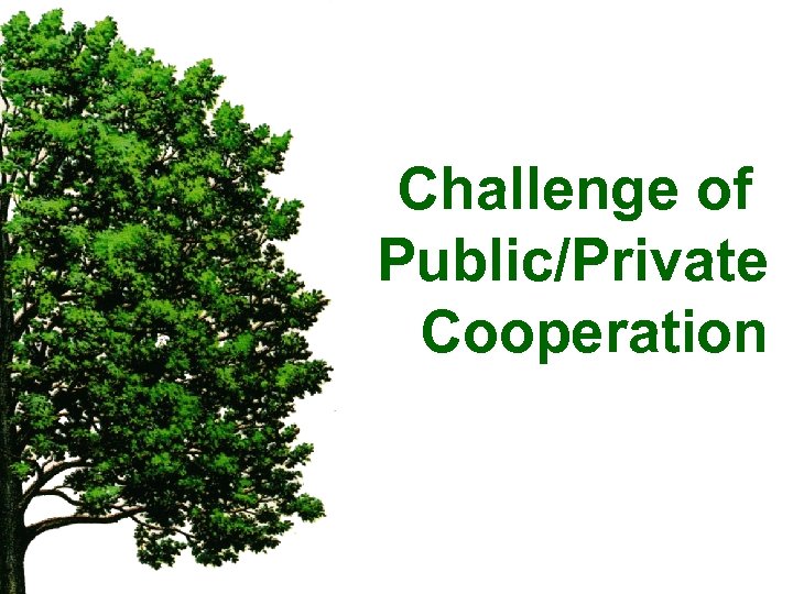 Challenge of Public/Private Cooperation 