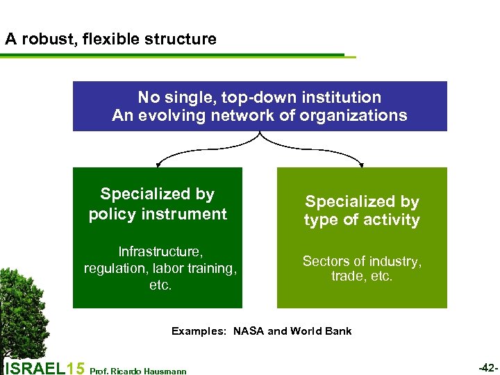 A robust, flexible structure No single, top-down institution An evolving network of organizations Specialized