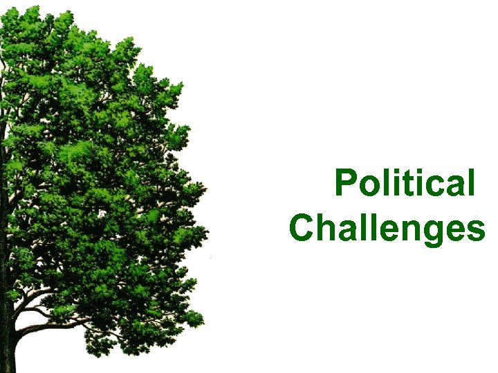 Political Challenges 