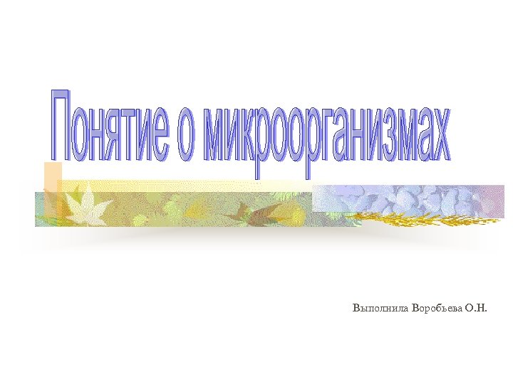Выполнила Воробьева О. Н. 