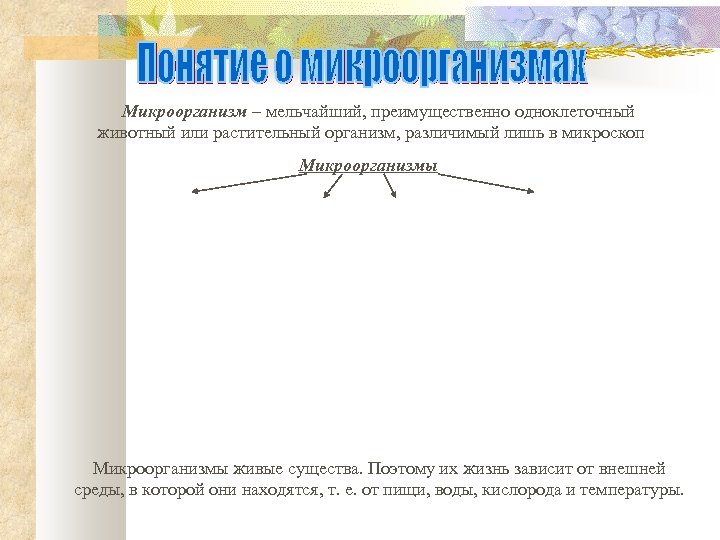 Микроорганизм – мельчайший, преимущественно одноклеточный животный или растительный организм, различимый лишь в микроскоп Микроорганизмы