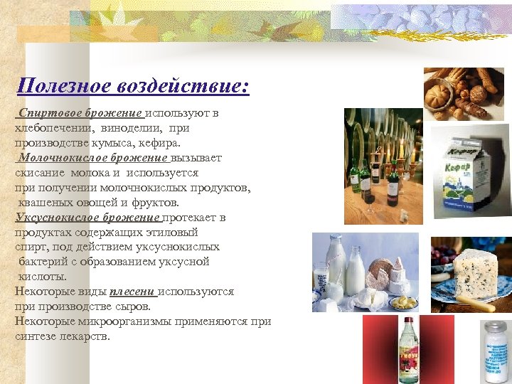 Полезное воздействие: Спиртовое брожение используют в хлебопечении, виноделии, при производстве кумыса, кефира. Молочнокислое брожение