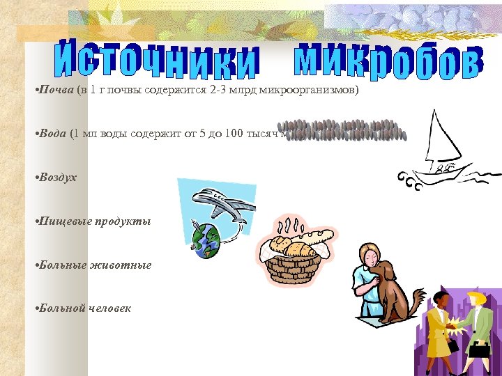  • Почва (в 1 г почвы содержится 2 -3 млрд микроорганизмов) • Вода