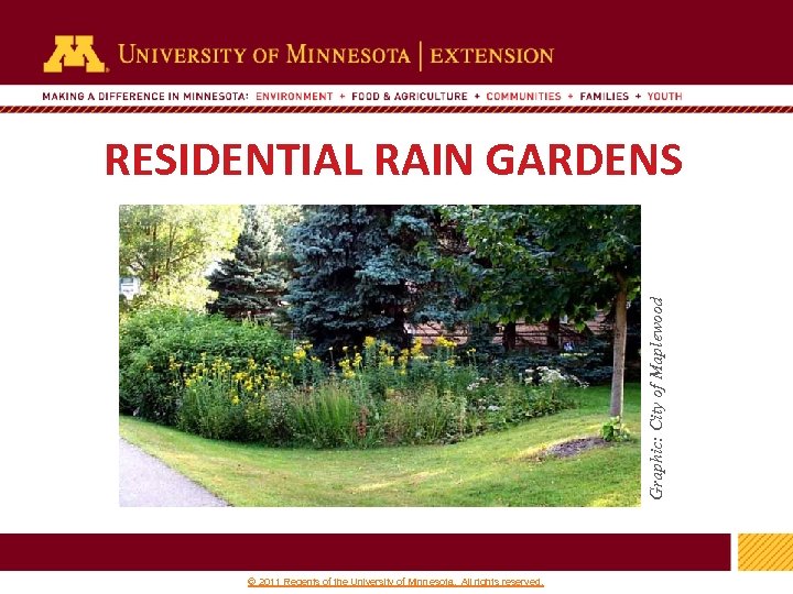 Graphic: City of Maplewood RESIDENTIAL RAIN GARDENS 1 © 2011 Regents of the University