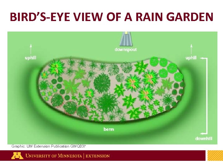 BIRD’S-EYE VIEW OF A RAIN GARDEN Graphic: UW Extension Publication GWQ 037 29 